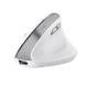 TRUST TRUST MOUSE BAYO II ERGONOMICO WIRELESS, BIANCO - MOUSE | TecnoCARE.net Sabaudia, Latina, Terracina, San Felice Circeo e Pontinia