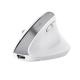 TRUST TRUST MOUSE BAYO ERGONOMICO WIRELESS, BIANCO - MOUSE | TecnoCARE.net Sabaudia, Latina, Terracina, San Felice Circeo e Pontinia