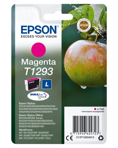 EPSON Epson Apple Cartuccia Magenta - STAMPANTI E SCANNER | TecnoCARE.net Sabaudia, Latina, Terracina, San Felice Circeo e Pontinia