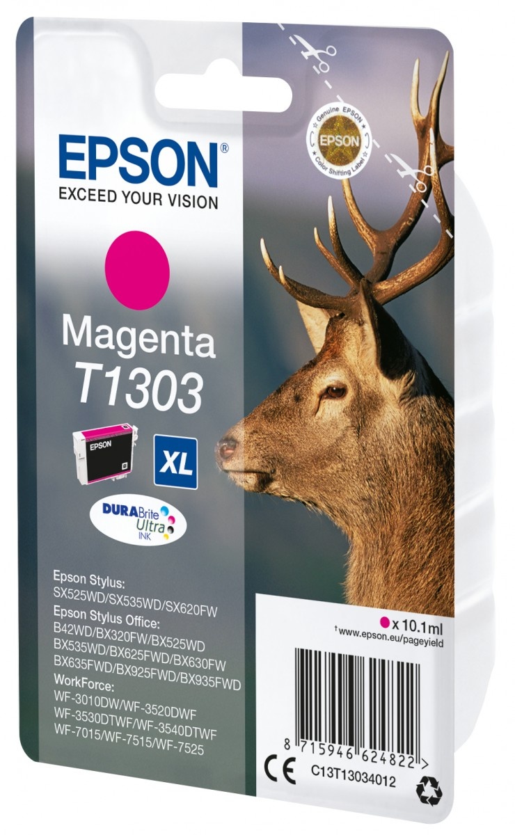 EPSON Epson Stag Cartuccia Magenta - STAMPANTI E SCANNER | TecnoCARE.net Sabaudia, Latina, Terracina, San Felice Circeo e Pontinia