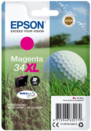 EPSON EPSON CART. INK MAGENTA 34XL SERIE PALLINA DA GOLF - CARTUCCE INKJET | TecnoCARE.net Sabaudia, Latina, Terracina, San Felice Circeo e Pontinia