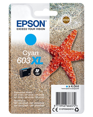 EPSON EPSON CARTUCCIA STELLA MARINA XL CIANO INKJET ALTA CAPACITA C13T03A24010 NO BLISTER - CARTUCCE INKJET | TecnoCARE.net Sabaudia, Latina, Terracina, San Felice Circeo e Pontinia