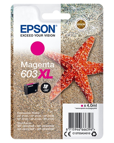 EPSON EPSON CARTUCCIA INK MAGENTA, STELLA MARINA, 603 XL - CARTUCCE INKJET | TecnoCARE.net Sabaudia, Latina, Terracina, San Felice Circeo e Pontinia