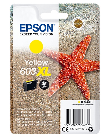EPSON EPSON CARTUCCIA INK GIALLO, STELLA MARINA, 603 XL - CARTUCCE INKJET | TecnoCARE.net Sabaudia, Latina, Terracina, San Felice Circeo e Pontinia