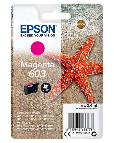 EPSON Epson Singlepack Magenta 603 Ink - STAMPANTI E SCANNER | TecnoCARE.net Sabaudia, Latina, Terracina, San Felice Circeo e Pontinia