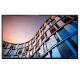 PHILIPS Philips 65BFL2214/12 TV 165,1 cm (65") 4K Ultra HD Smart TV Wi-Fi Nero - TELEVISORI | TecnoCARE.net Sabaudia, Latina, Terracina, San Felice Circeo e Pontinia