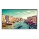 SAMSUNG SAMSUNG DIGITAL SIGNAGE 98 IPS 16:9 4K UHD 350 CDM, WIFI/LAN, QE98T-B, TIZEN - MONITOR LFD | TecnoCARE.net Sabaudia, Latina, Terracina, San Felice Circeo e Pontinia
