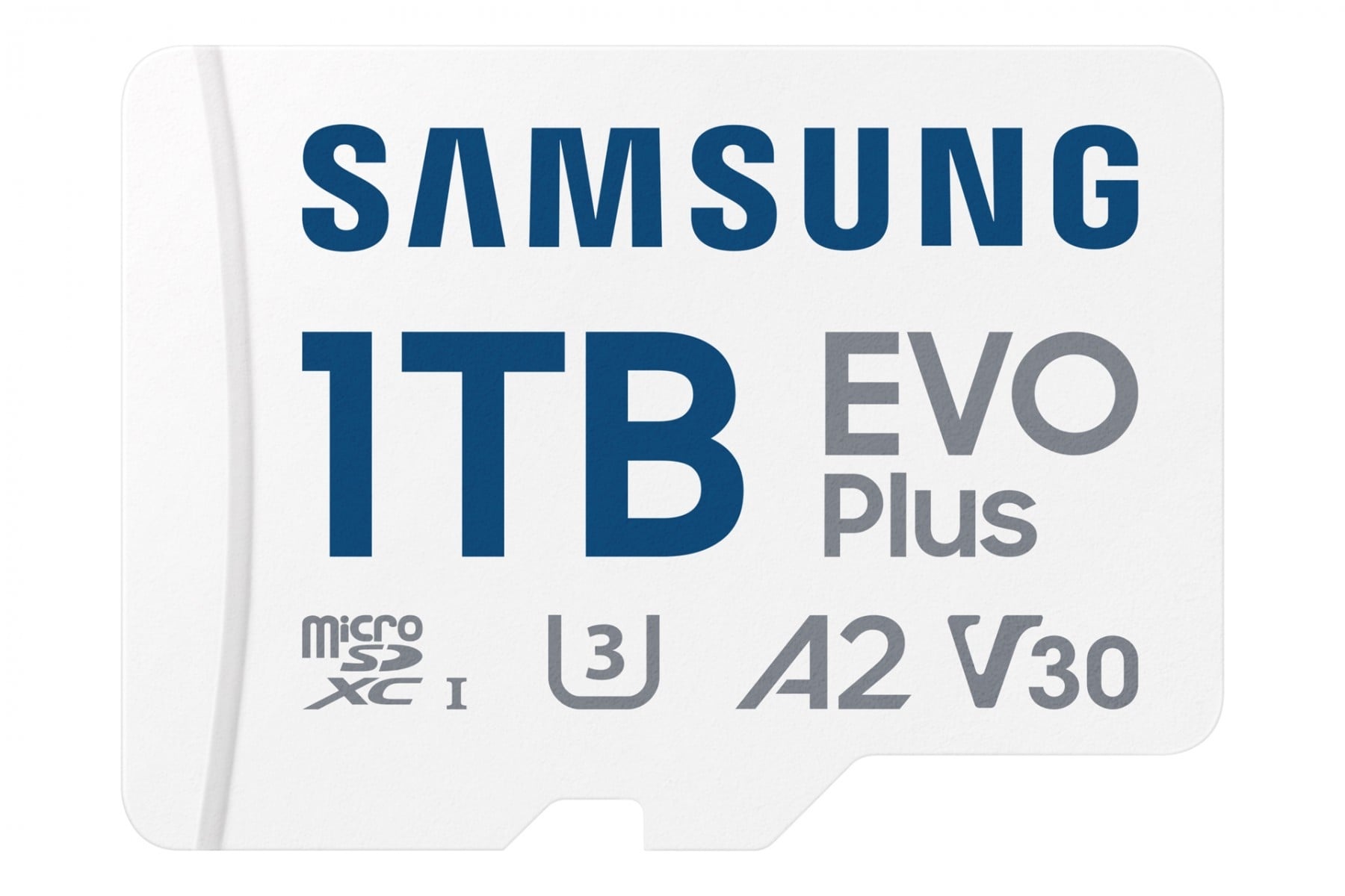 SAMSUNG Samsung MB-MC1T0S 1 TB MicroSDXC UHS-I - SUPPORTI PER LA MEMORIZZAZIONE | TecnoCARE.net Sabaudia, Latina, Terracina, San Felice Circeo e Pontinia