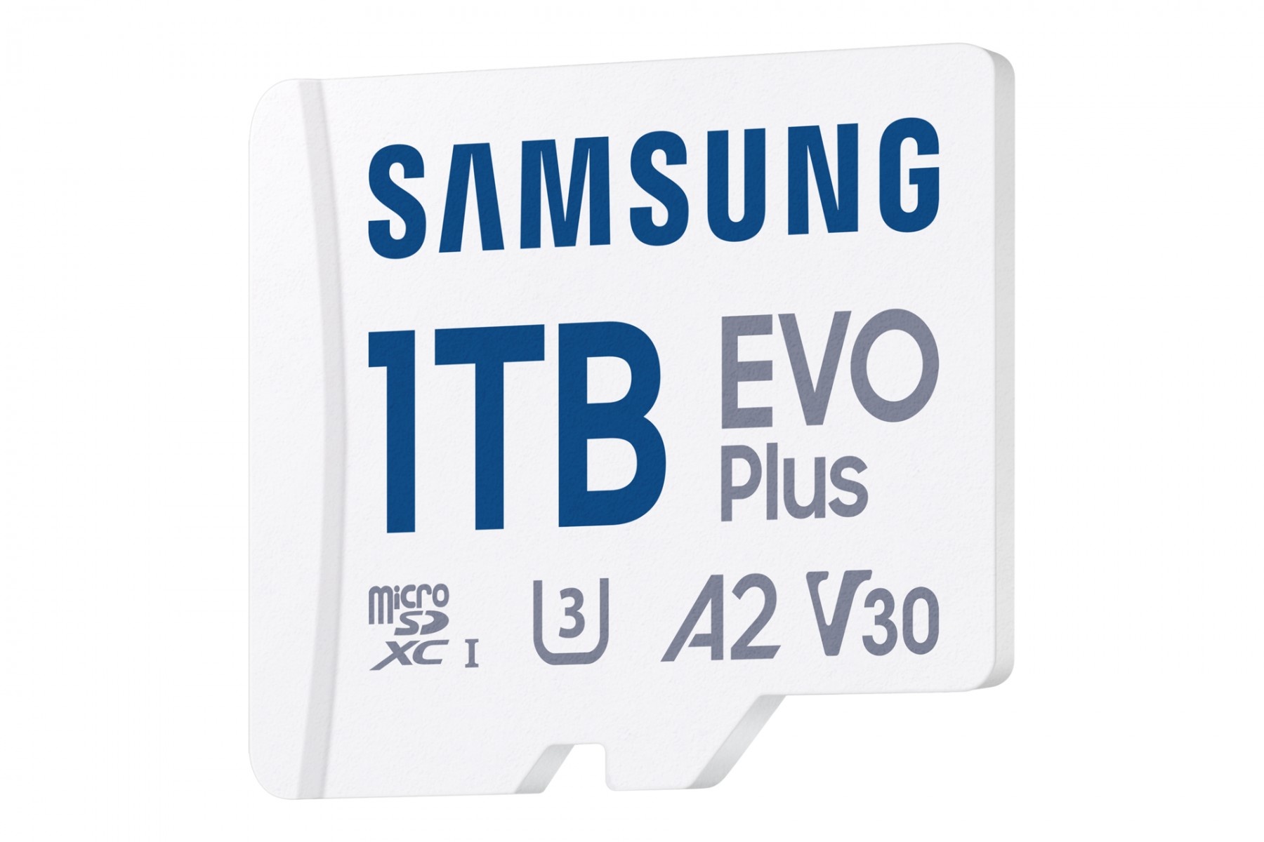 SAMSUNG Samsung MB-MC1T0S 1 TB MicroSDXC UHS-I - SUPPORTI PER LA MEMORIZZAZIONE | TecnoCARE.net Sabaudia, Latina, Terracina, San Felice Circeo e Pontinia