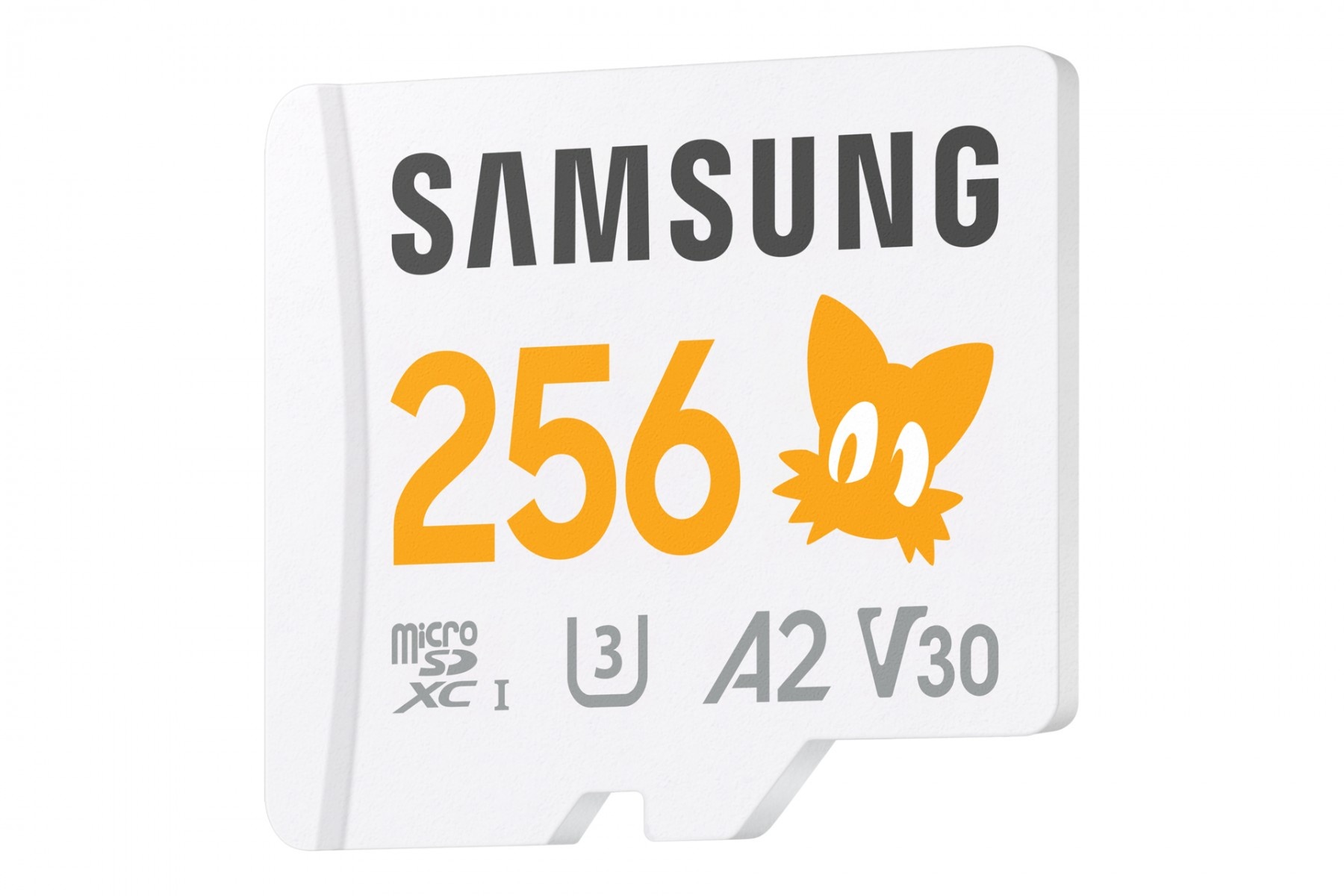 SAMSUNG Samsung MB-MD256S MicroSDXC 256GB Scheda di Memoria Flash Classe 10 UHS-I con Protezione ad Alta Velocità - SUPPORTI PER LA MEMORIZZAZIONE | TecnoCARE.net Sabaudia, Latina, Terracina, San Felice Circeo e Pontinia