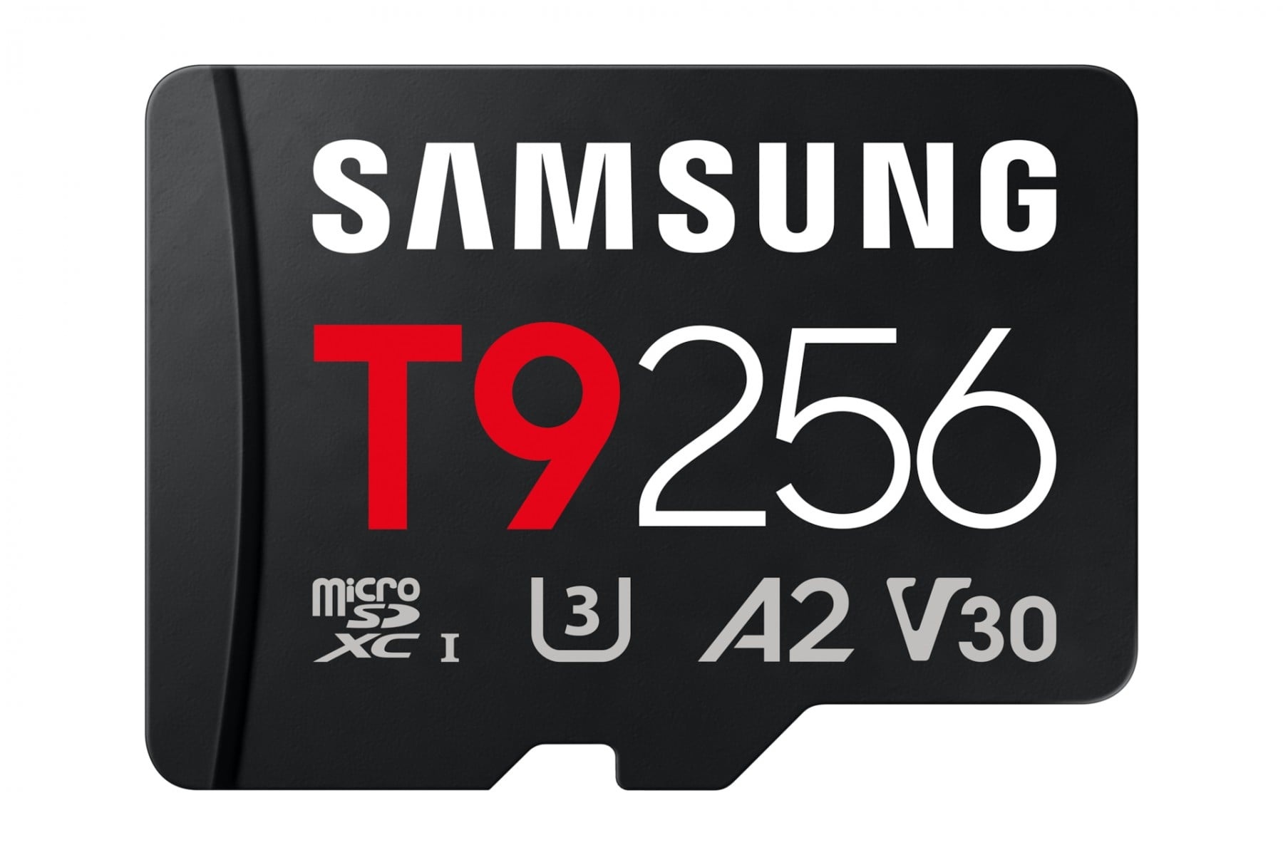 SAMSUNG Samsung MB-MH256T/WW memoria flash MicroSDXC UHS-I - SUPPORTI PER LA MEMORIZZAZIONE | TecnoCARE.net Sabaudia, Latina, Terracina, San Felice Circeo e Pontinia